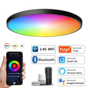 Tuya Smart WiFi BLE LED Ceiling Light AC 220V 24W RGBCW Round Ceiling Lamp