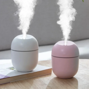 Portable mini humidifier with 250ML