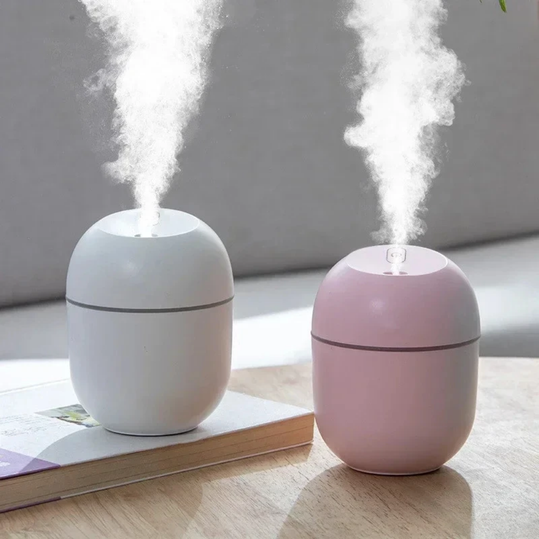 Portable mini humidifier with 250ML