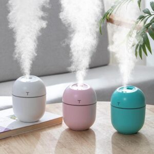 Mini Air Humidifier USB Charging Mist Spray Moisturizing Diffuser
